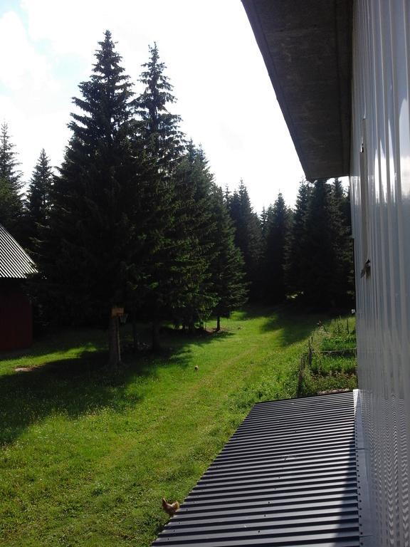 Apartment Luka Zabljak  Bagian luar foto