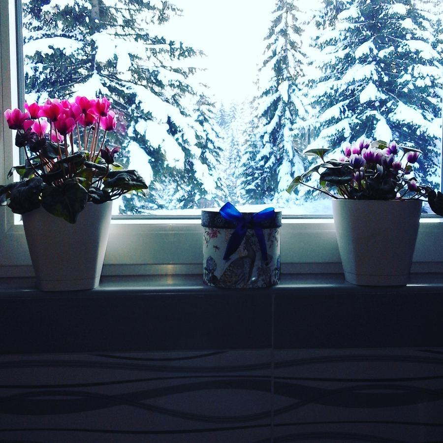Apartment Luka Zabljak  Ruang foto
